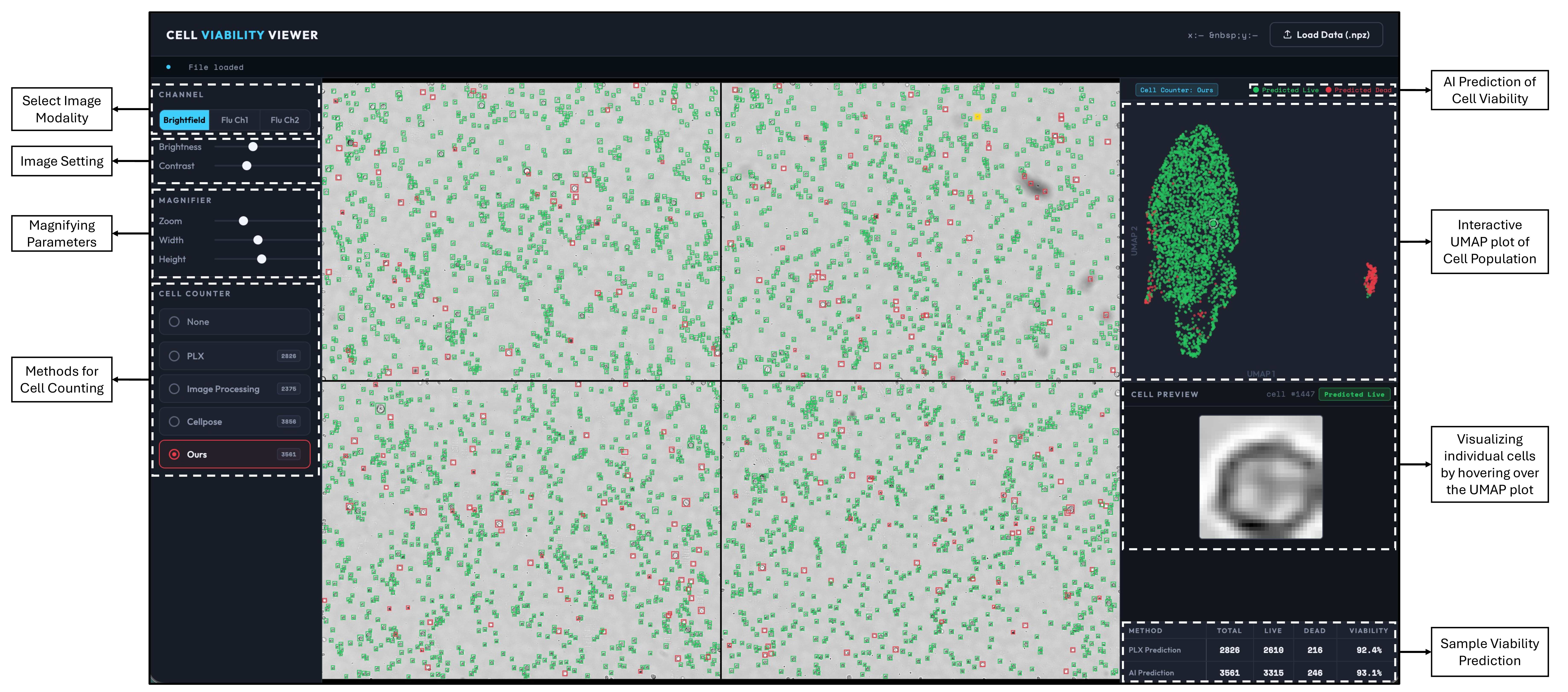 Screenshot of the ViabiLens Cell Viability Viewer interface