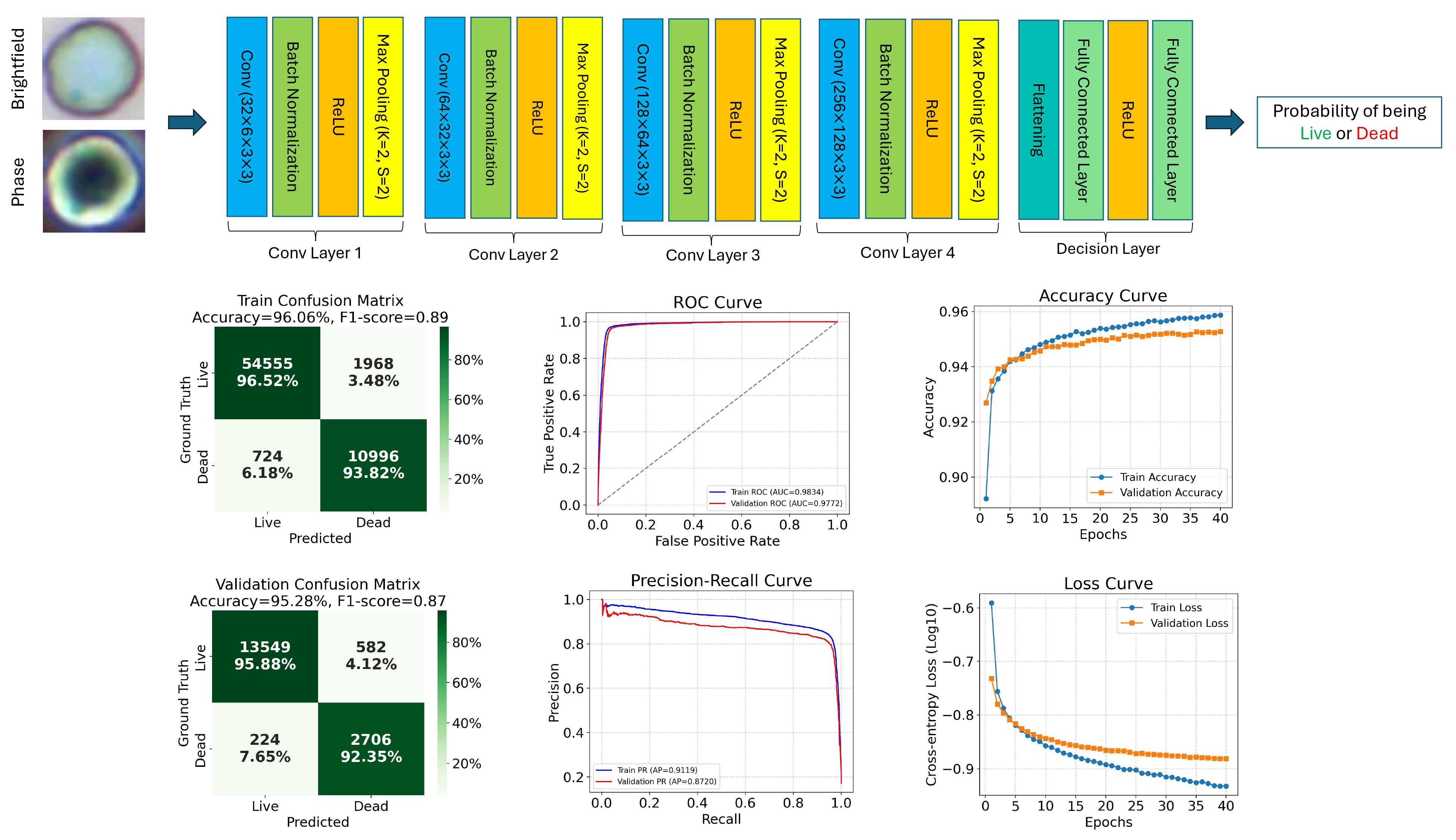 Zeiss classifier architecture with brightfield and phase inputs, confusion matrices, ROC and precision-recall curves, and training curves