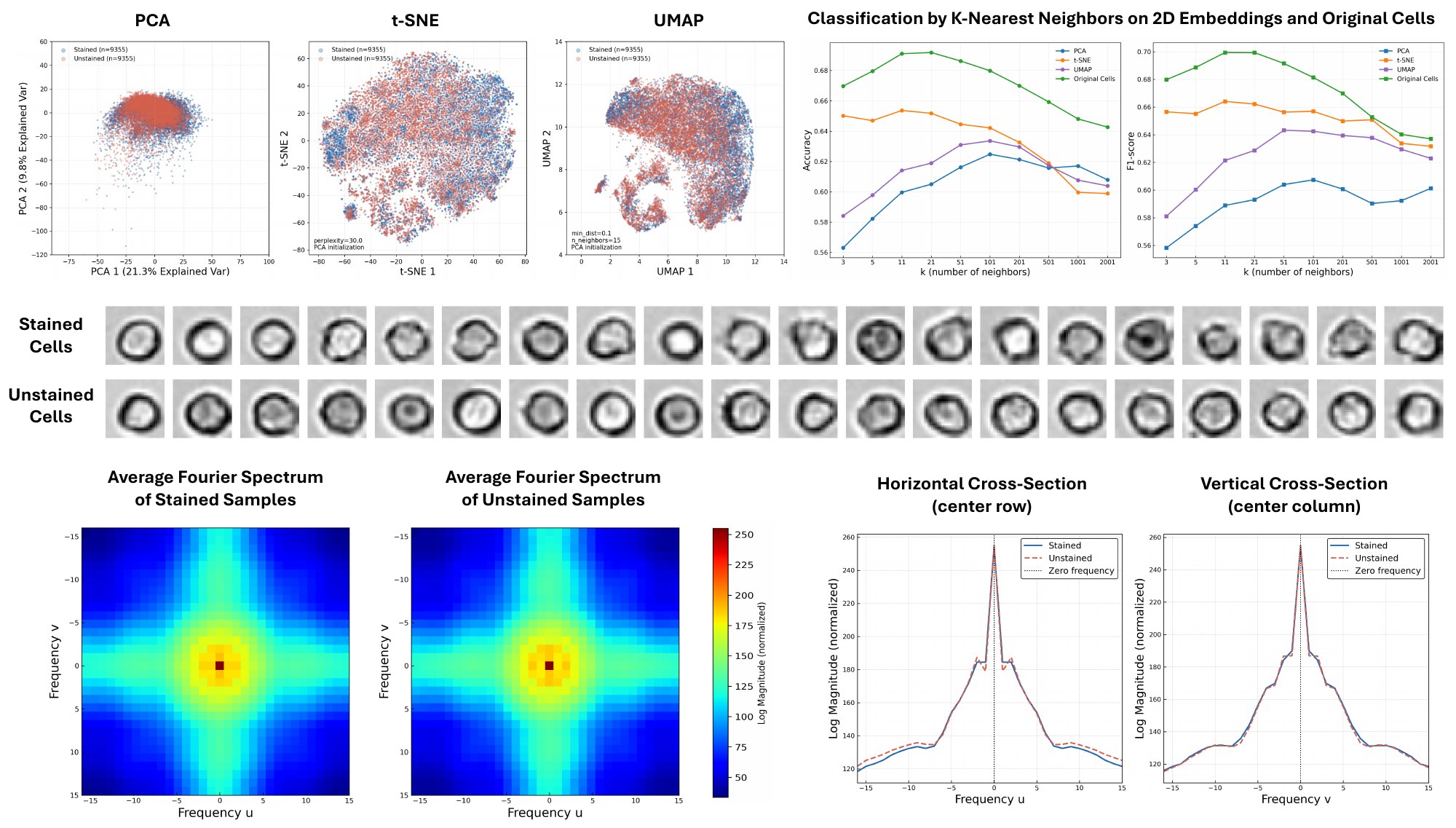 Embeddings, example cells and Fourier spectra of stained and unstained cells