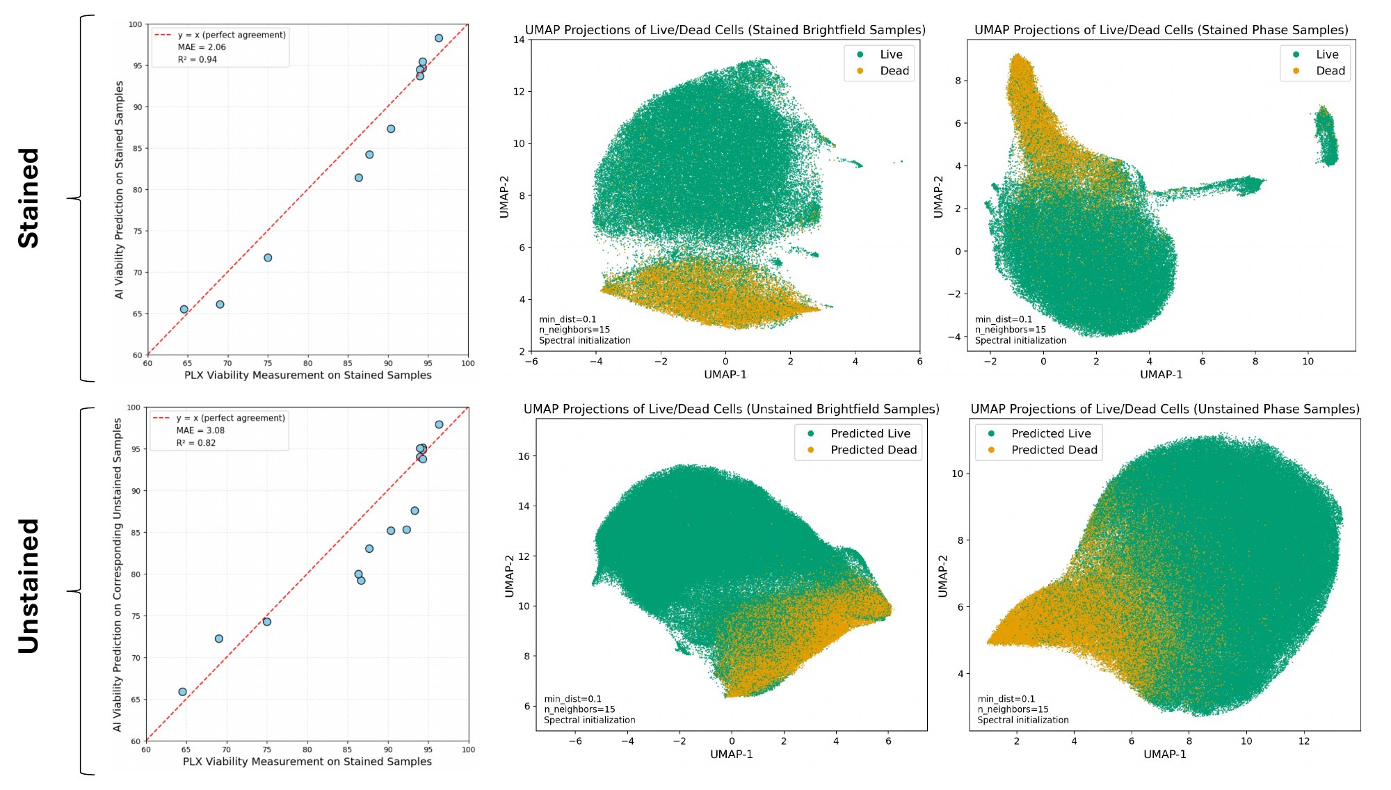 Predicted vs. measured viability and UMAP projections for Zeiss stained and unstained samples