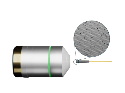 Fiber Bundle Imaging